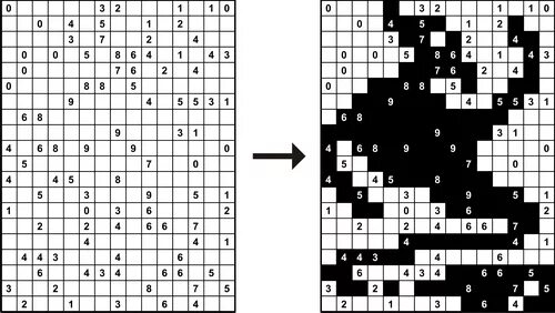Nonogram Puzzles